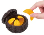 Megahouse Sea Urchin Kaitai Puzzle Series Buy Self - Assembly Food Made In Japan