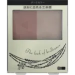 Shiseido Integrate Forming Cheeks RD310 3.5g - Powder Type Cheek Blush Makeup Products Skincare