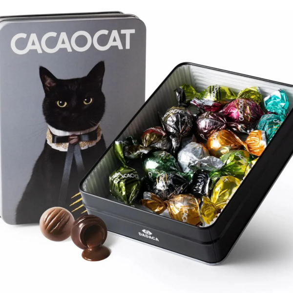 CACAOCAT Cacao Cat Mix 14 Pieces, assorted chocolate set, ideal for gifting and daily treats
