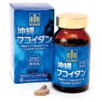 Kanehide Bio Okinawa Fucoidan 295mg x 180 Tablets - Japan Minerals Heath Supplement