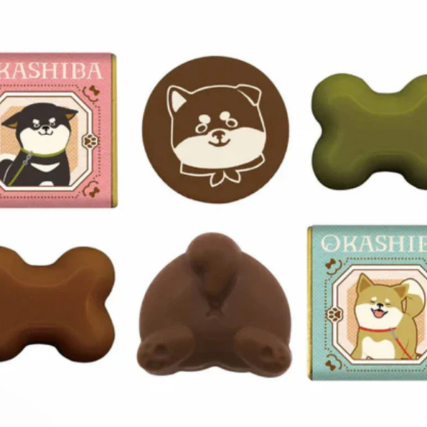 75g Okashiba Valentines 2026 Chocolate Assortment, Shiba Inu themed chocolates designed for chocolate lovers
