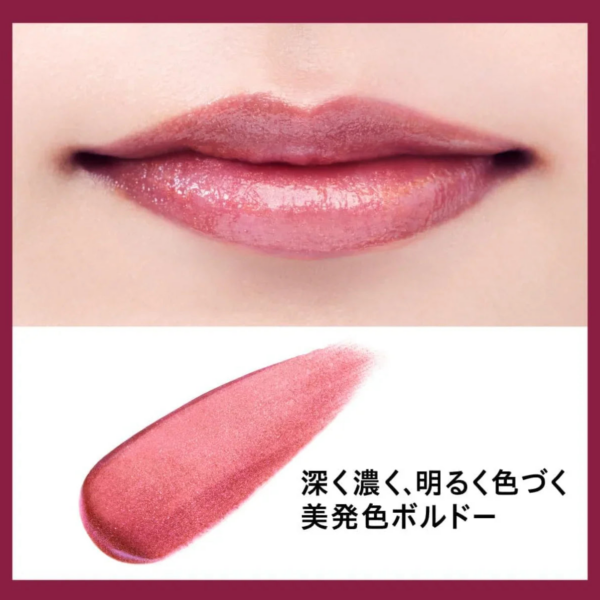 4.2g Curel Lip Care Cream Beautiful Coloring Bordeaux, gentle formula, designed for everyday use