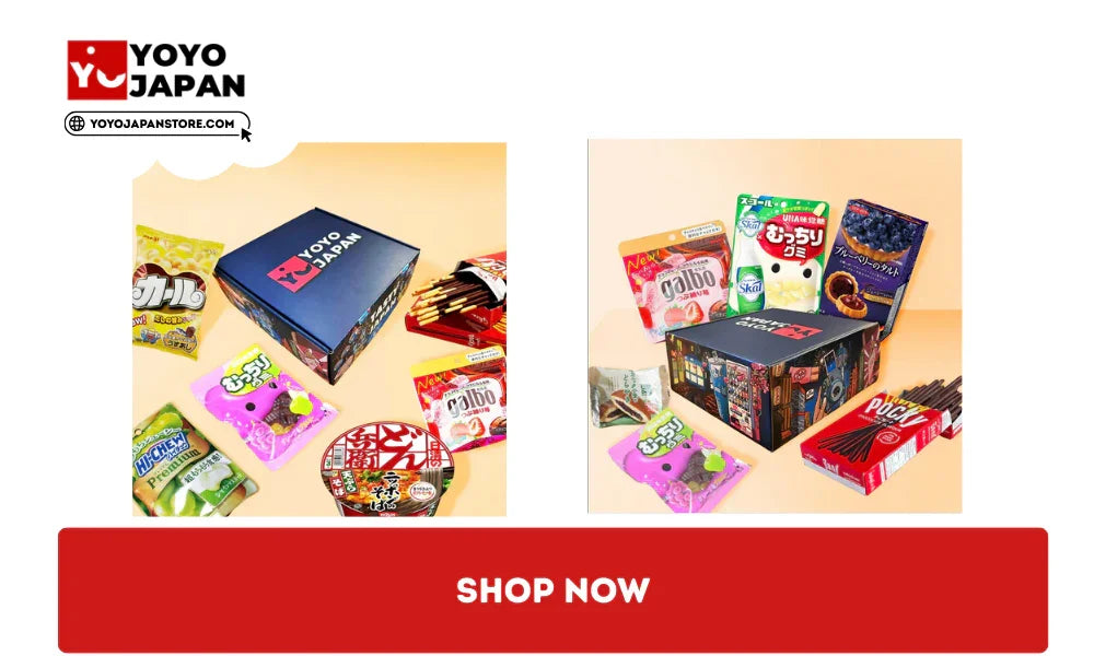 YOYOJAPAN Exclusive Snack Subscription Box