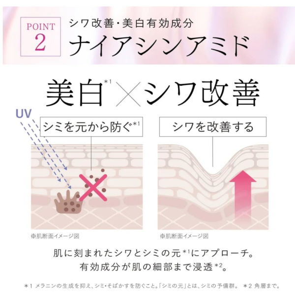 ASTALIFT 22 Autumn Release, Astalift the Serum Multi Tune (40ml)