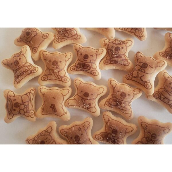 10 Box Lotte Koala's March Chocolate Filled Bite Sized Cookies with chocolate center designed for sharing