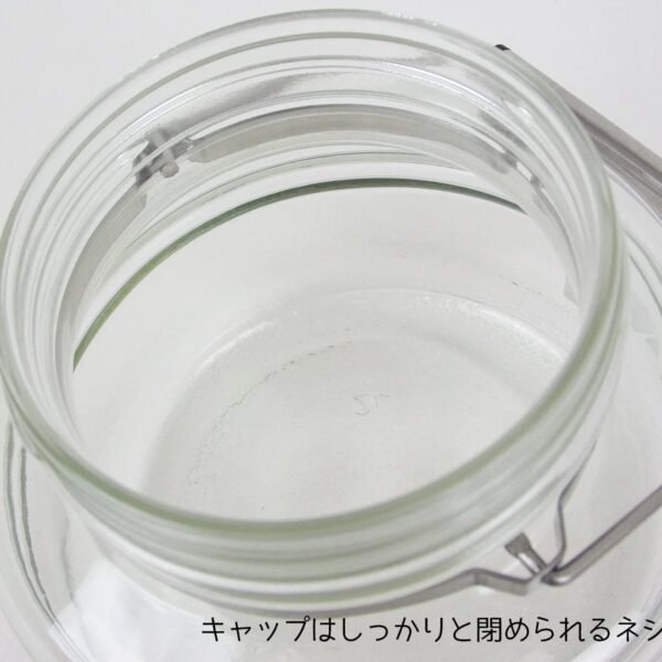 Aderia Japan 5L Cosmetic Box Plum Wine Bottle Storage Container Stainless Cap Glass Canister Airtight Coffee Beans 817