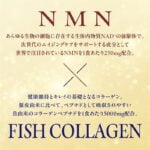 Meiji Amino Collagen NMN Powder 28 Day Supply (196g) - Image 4